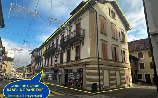 IMMEUBLE TRAVERSANT 4 APPARTEMENTS, AVEC COMMERCE ET RESTAURANT