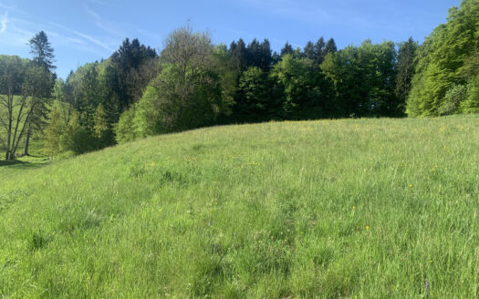 TERRAIN EN ZONE D&rsquo;ACTIVITES ET DE LOGEMENT