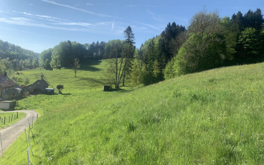 TERRAIN EN ZONE D&rsquo;ACTIVITES ET DE LOGEMENT