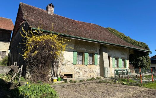 Propriété comportant deux bâtiments : une maison habitable et une ferme à transformer