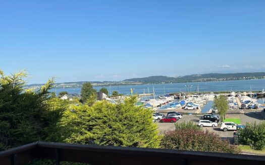 ATMOSPHERE LACUSTRE AVEC VUE SUR LE LAC ET LES ALPES