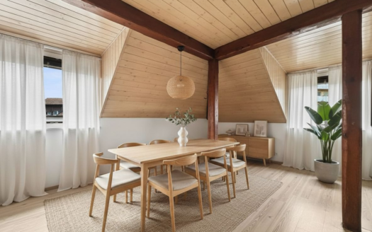 IL OCCUPE TOUTE LA TOITURE DE L’IMMEUBLE …VOTRE COCON SOUS LES TOITS FACE À LA THIELLE