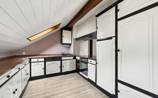 APPARTEMENT DE 5,5 PIÈCES DANS LES COMBLES, EN FACE DE LA THIELLE